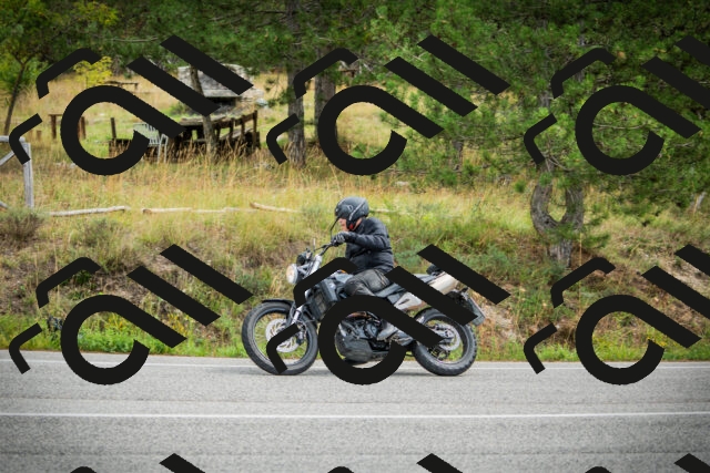 202509141141-DSC05233_c1_