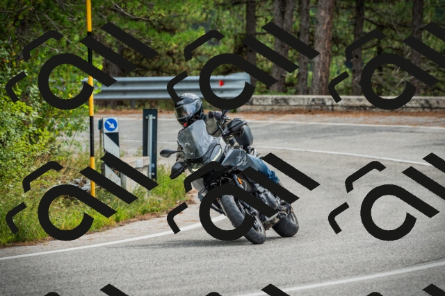 202509141141-DSC05238_c1_