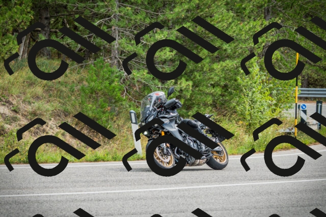 202509141142-DSC05245_c1_