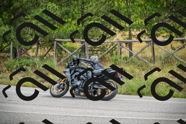 202509141142-DSC05247_c1_