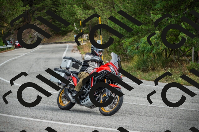 202509141150-DSC05361_c1_