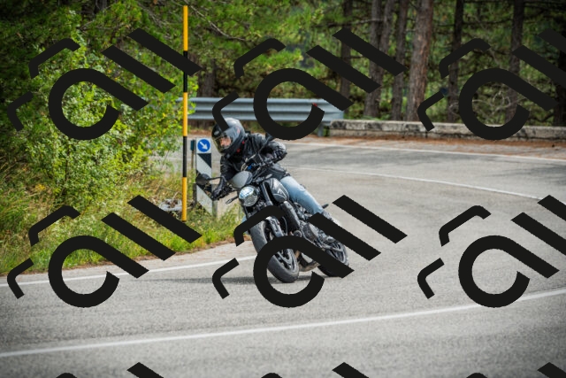 202509141151-DSC05375_c1_