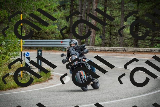 202509141152-DSC05387_c1_