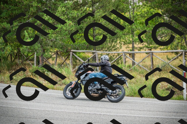 202509141152-DSC05390_c1_