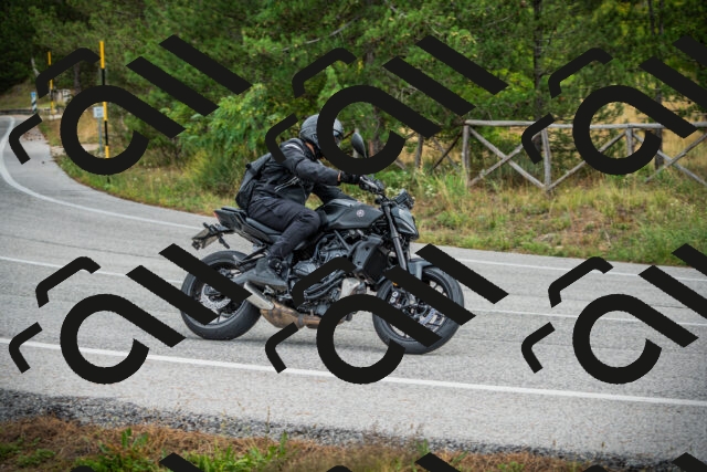 202509141153-DSC05398_c1_