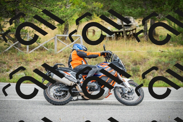 202509141153-DSC05411_c1_