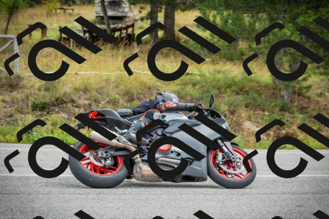 202509141154-DSC05420_c1_