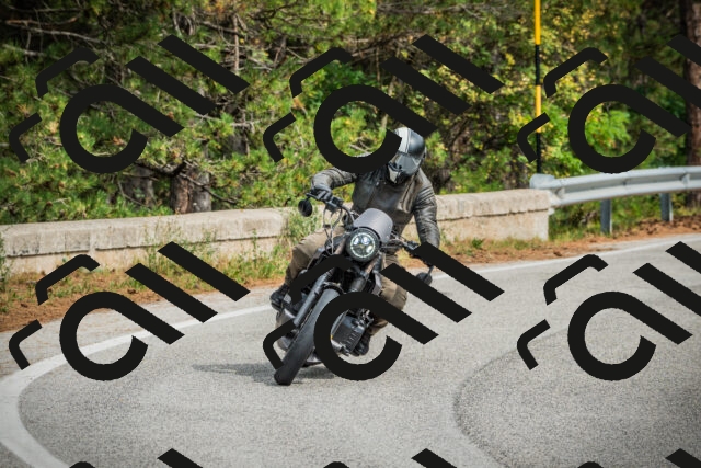 202509141200-DSC05531_c1_