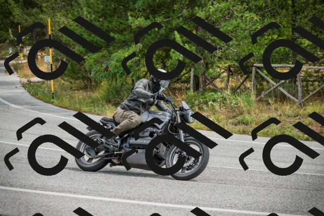 202509141200-DSC05533_c1_