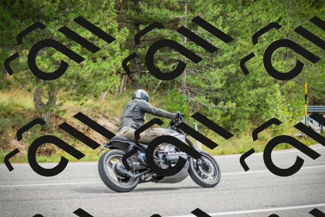 202509141200-DSC05535_c1_