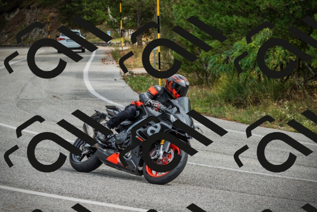 202509141200-DSC05544_c1_