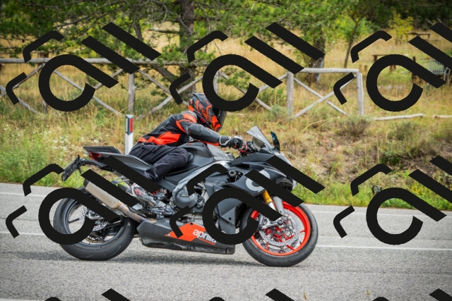 202509141200-DSC05545_c1_