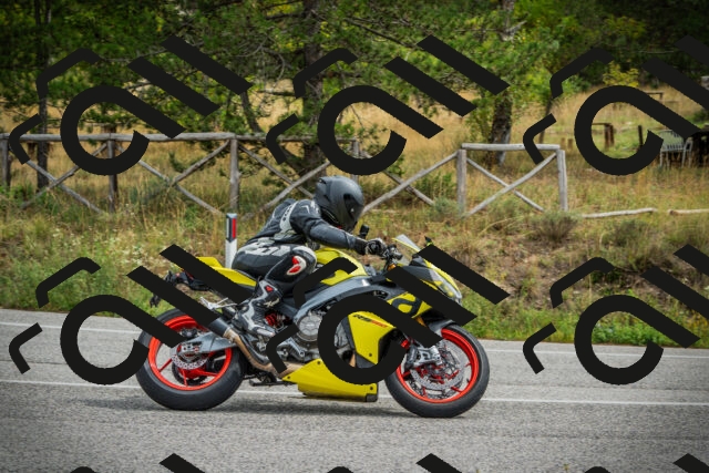 202509141200-DSC05546_c1_