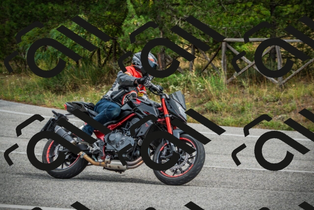 202509141200-DSC05553_c1_