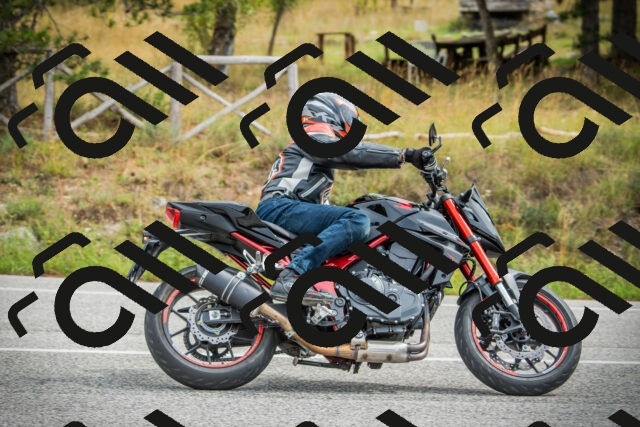 202509141200-DSC05554_c1_