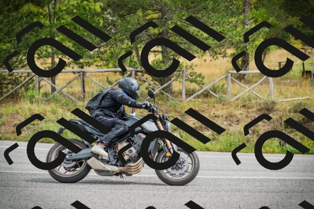 202509141200-DSC05555_c1_