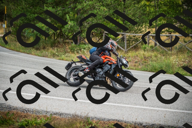 202509141200-DSC05558_c1_