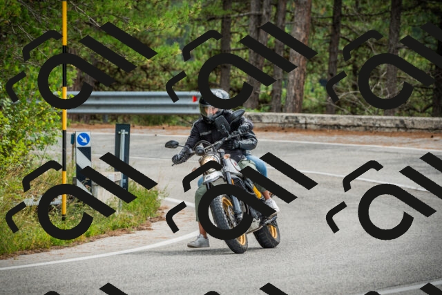 202509141201-DSC05562_c1_