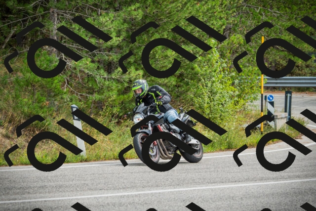 202509141201-DSC05568_c1_