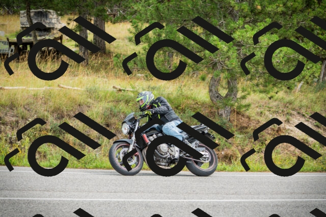 202509141201-DSC05569_c1_