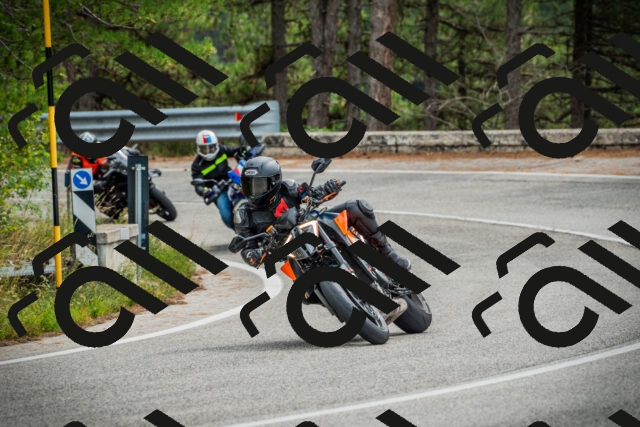 202509141202-DSC05582_c1_