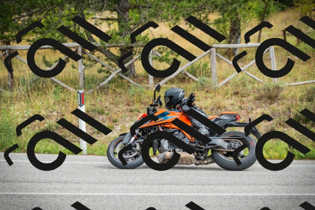 202509141202-DSC05584_c1_