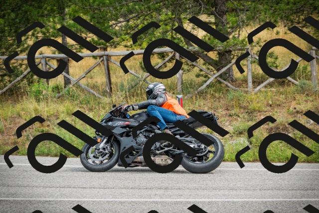 202509141202-DSC05607_c1_