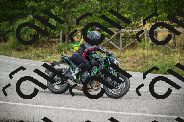 202509141202-DSC05612_c1_