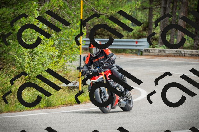 202509141202-DSC05617_c1_