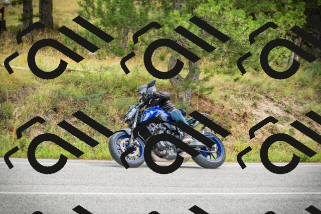 202509141203-DSC05621_c1_