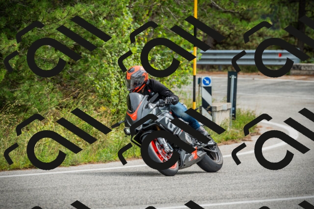 202509141203-DSC05625_c1_