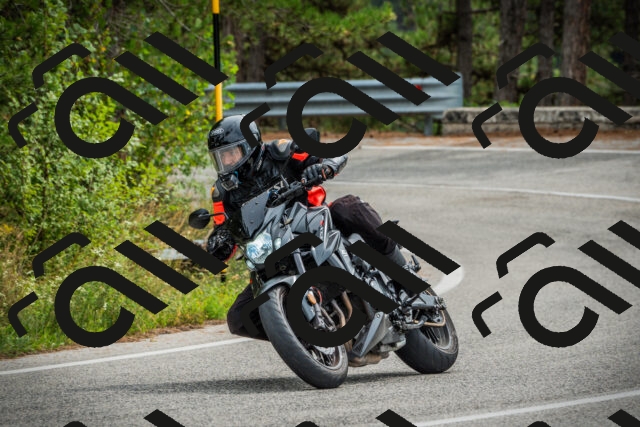 202509141208-DSC05733_c1_