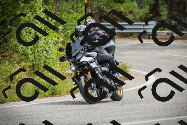 202509141208-DSC05743_c1_