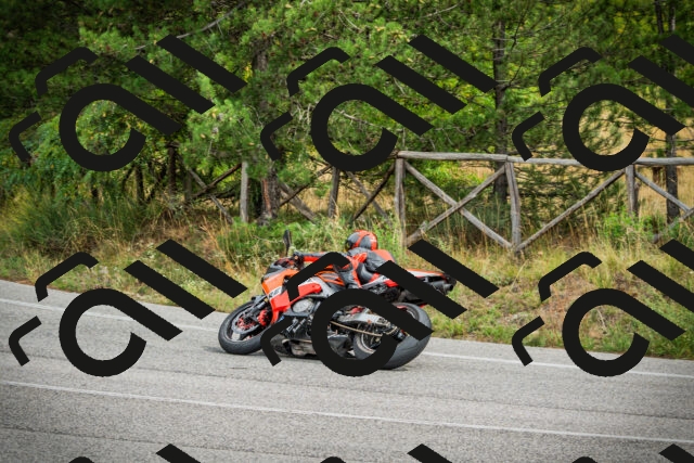 202509141209-DSC05753_c1_