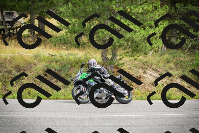 202509141209-DSC05766_c1_