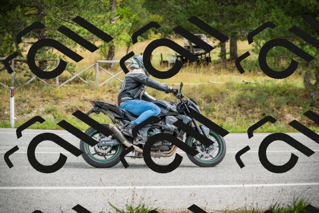 202509141212-DSC05826_c1_