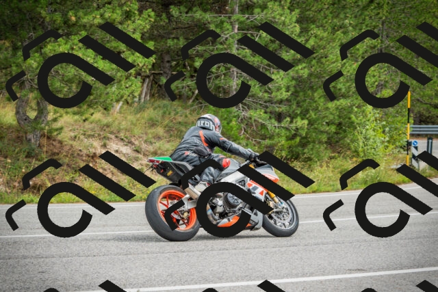 202509141214-DSC05853_c1_