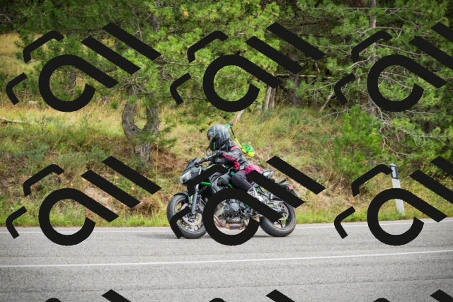 202509141214-DSC05857_c1_