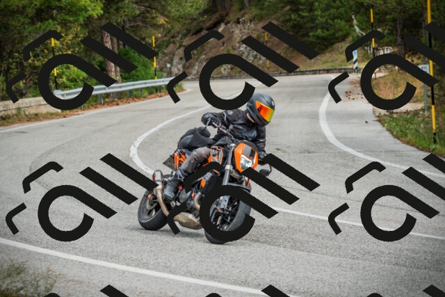 202509141215-DSC05862_c1_