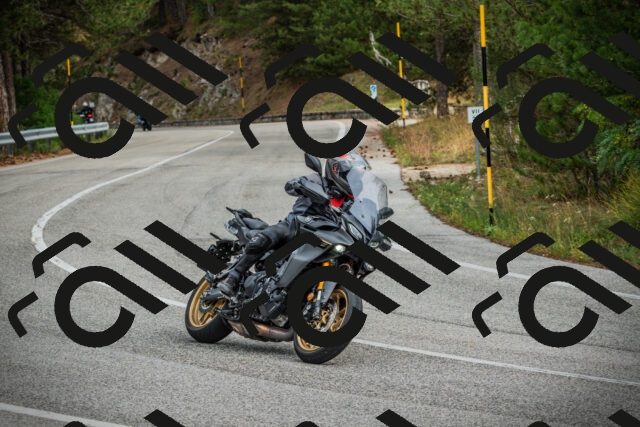 202509141215-DSC05882_c1_