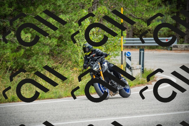 202509141216-DSC05905_c1_