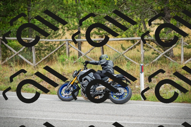 202509141216-DSC05907_c1_