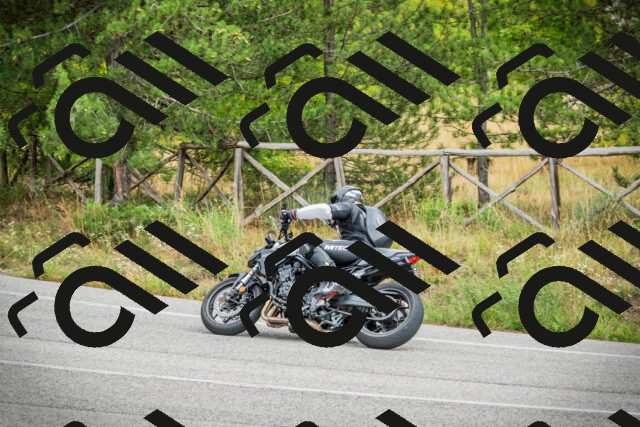 202509141216-DSC05915_c1_