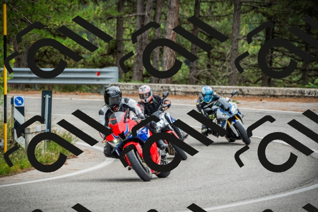 202509141216-DSC05918_c1_