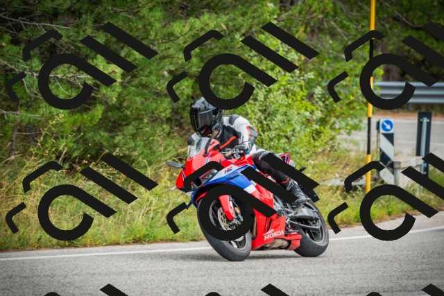 202509141216-DSC05919_c1_