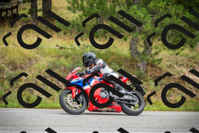 202509141217-DSC05920_c1_