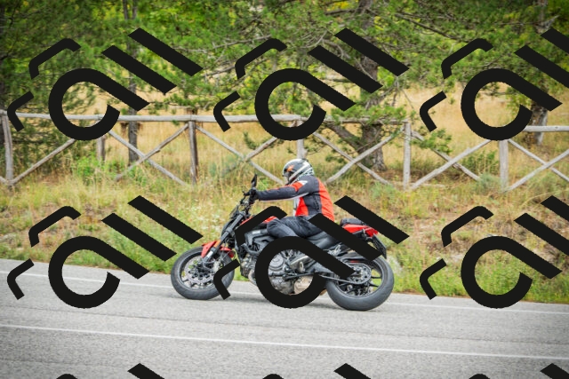 202509141217-DSC05925_c1_