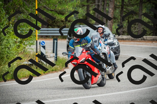 202509141217-DSC05928_c1_