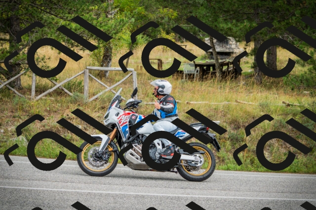 202509141217-DSC05931_c1_