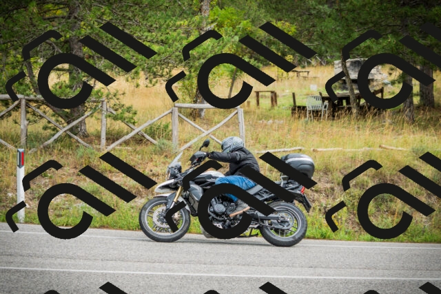 202509141218-DSC05948_c1_